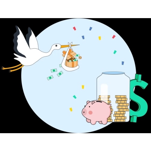 Cash Fund