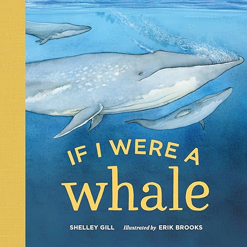 If I Were a Whale: (Board Books for Toddlers 1-3) Board book – Illustrated, February 21, 2017