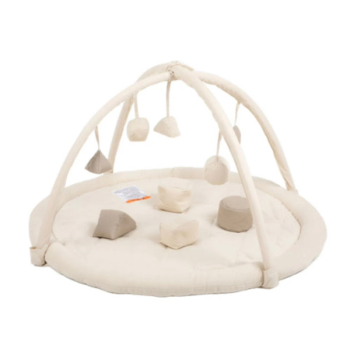 Play Gym