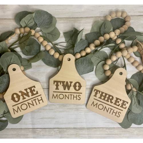 Cattle Tag Milestone Signs/Infant Signs/Monthly Photo Props