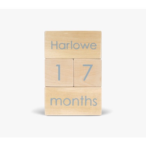 Modern Blocks Milestone Block Set