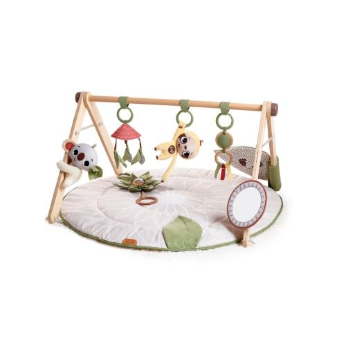 Tiny Love Boho Chic Luxe Gymini