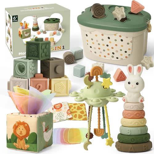 Baby Toys 6 to 12 Months, Montessori Toys for 6-9-18 Months with Shape Sorter Developmental Toys, Baby Blocks, Tissu Learning Sensory Toys Gift for 6-36 Months Girls Boys Infant Toys