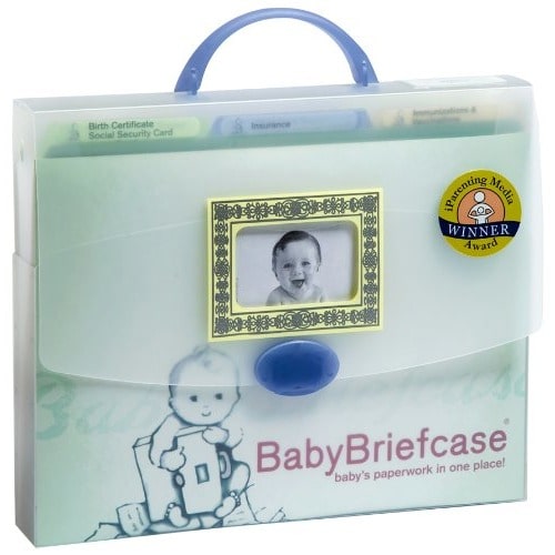 Baby Briefcase Baby Paperwork Organizer, Mint/Periwinkle