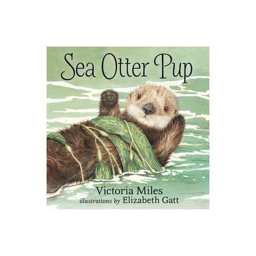Pre-Owned Sea Otter Pup Paperback