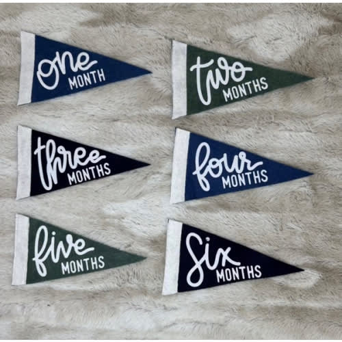BABY MILESTONE SET Monthly Pennant Photo Props | Set of 6 Double-Sided Reversible 4x7" Flags with Removable Stick