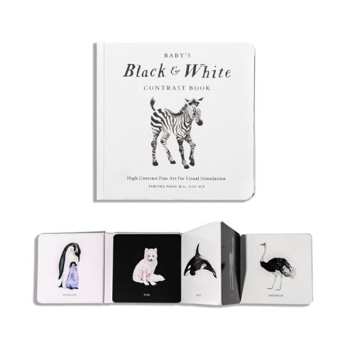 Baby's Black and White Contrast Book - (Tabitha Paige Children's Book) by Tabitha Paige (Board Book)