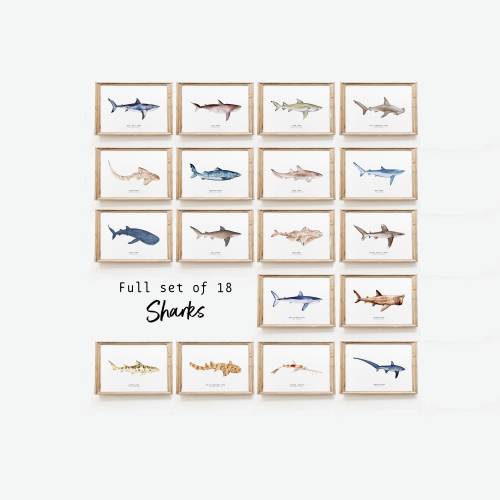Set of 18 Shark watercolour prints | Wall art set | Housewarming fine art | Set of wall art | Print set | Shark lover gift | Home décor gift