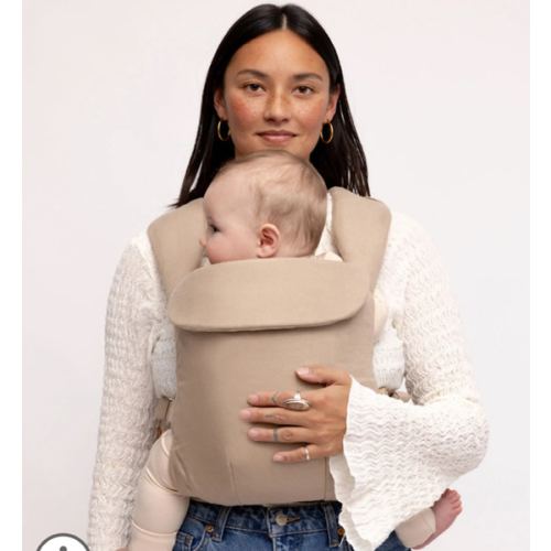 Desert Lark - Aerial Carrier – WildBird