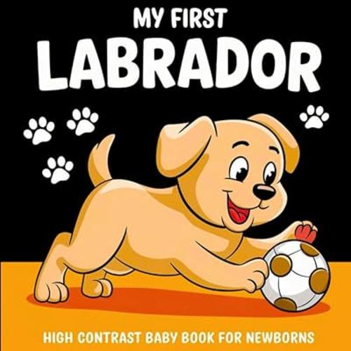My first Labrador High Contrast Baby Book for Newbors 0-12 Months: Simple Black and White Labrador-Retrievier Themed Pictures To Develop Baby's Eyesight | Visual Stimulation Gift for Infants