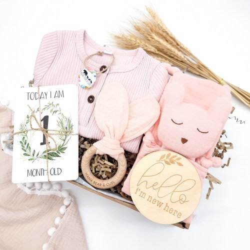 Baby Girl Pink Gift Set | Newborn Baby Shower Hamper | Welcome Baby Girl Gift | Pink Bow & Baby Romper | Ready To Gift Girl's Baby Bundle