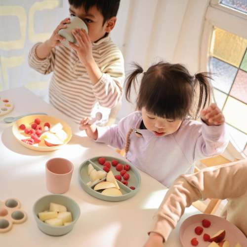 Mushie Silicone Suction Plate – Simple Steps Market