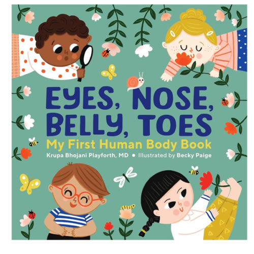 Eyes, Nose, Belly, Toes: My First Human Body Book