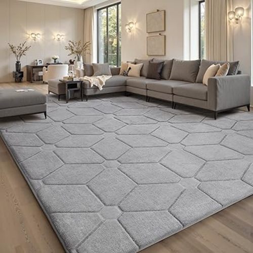 Sour Lemon Area Rugs 9x12 Living Room Bedroom, Large Carpet Grey Rug