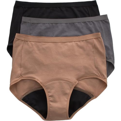 Hanes womens Fresh & Dry Light and Moderate Period 3-pack Brief Underwear