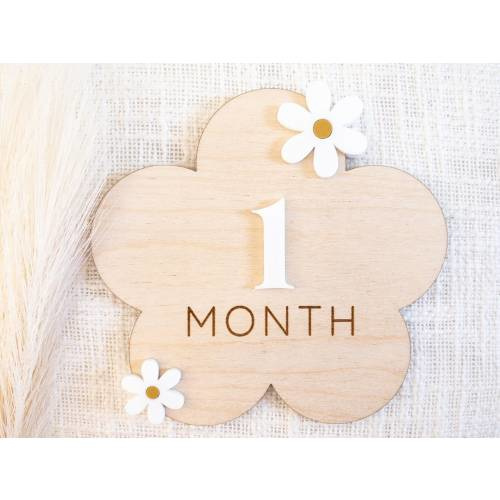 Wooden 3D flower monthly milestone sign | Daisy interchangeable milestone card | Baby photo props | Boho decor