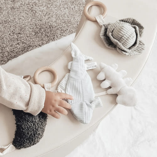 TROUT – Little Lamb Kind