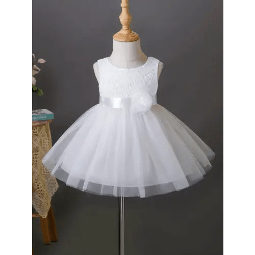 Baby Girl Appliques Contrast Lace Mesh Overlay Party Dress | SHEIN USA