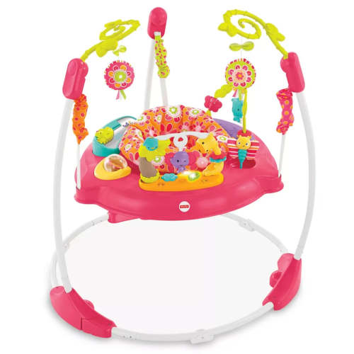 Pink Petals Jumperoo