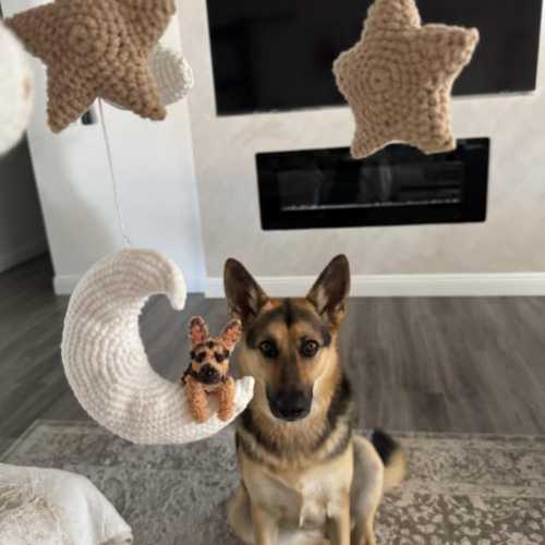 Custom Baby Mobile, Rainbow Nursery Mobile, Crib Mobile, Nursery Decor, Puppy Nursery Decor, Baby Shower Gift,, Christmas Gifts