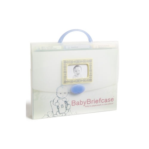 BabyBriefcase® Document Organizer, NoneNone