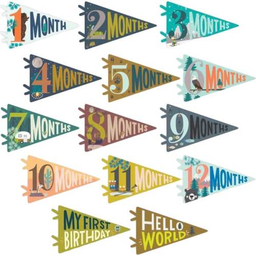 Little Camper Petit Milestone Pennant - Lucy Darling | Maisonette