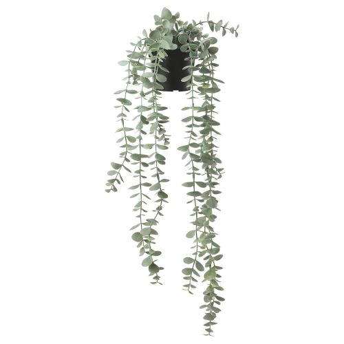 FEJKA Artificial potted plant - indoor/outdoor hanging/eucalyptus 3 ½ "