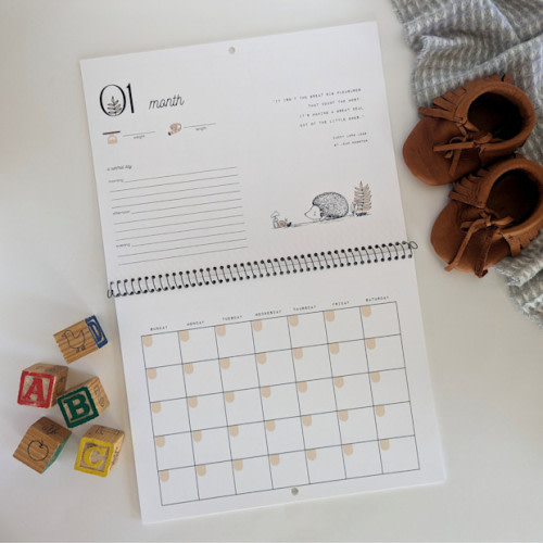 Your First Year Baby Calendar
