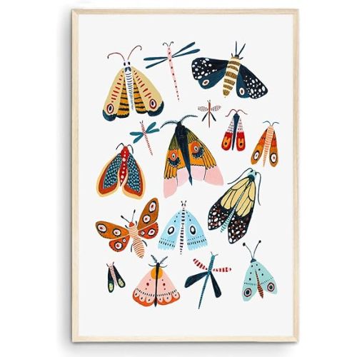 Nationcog Moths & Butterflies Wall Art, Bugs & Animal Kids Room Decor, Woodland Themed Art (Unframed), 11x14