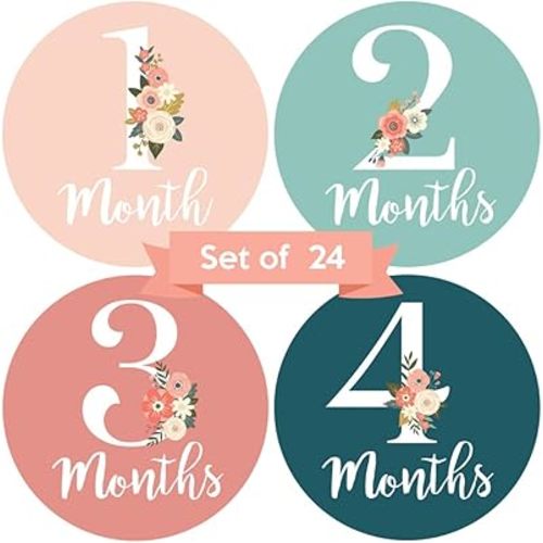 Baby Monthly Stickers - Set of 24 - Floral Baby Girl Milestone Stickers - Perfect for Newborn Girls - Month to Month Milestones - Pink & Teal Floral Design (Set of 24)