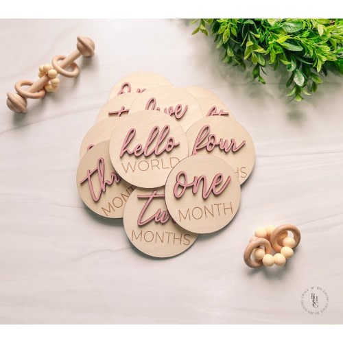 3D Wooden Monthly Milestone Discs With Vintage Rose Letters For Baby Photos | Monthly Milestone Marker | Milestone Cards