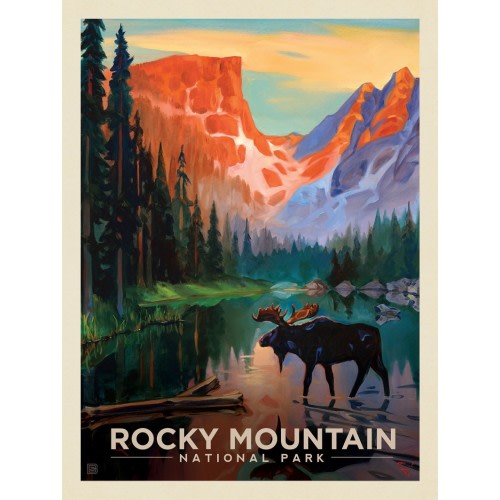 Rocky Mountain National Park: Moose In The Morning-KC | Anderson Design Group