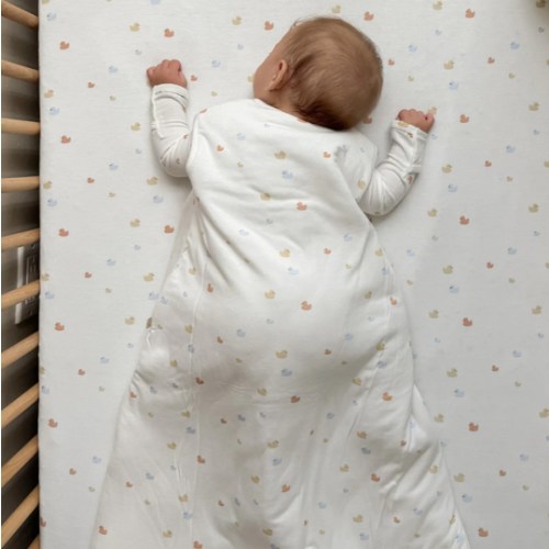 Sleep Sack - Ducks