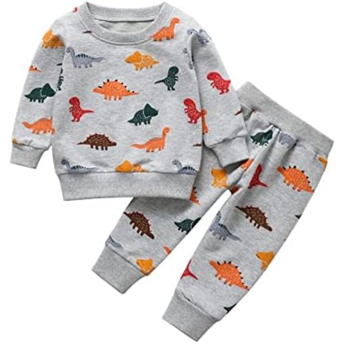Toddler Baby Boy Clothes Animal Style Long Sleeve Tops Sweatsuit Pants Outfits Set