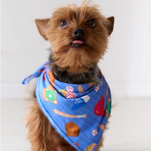Blue All Stars Pet Bandana - Little Sleepies