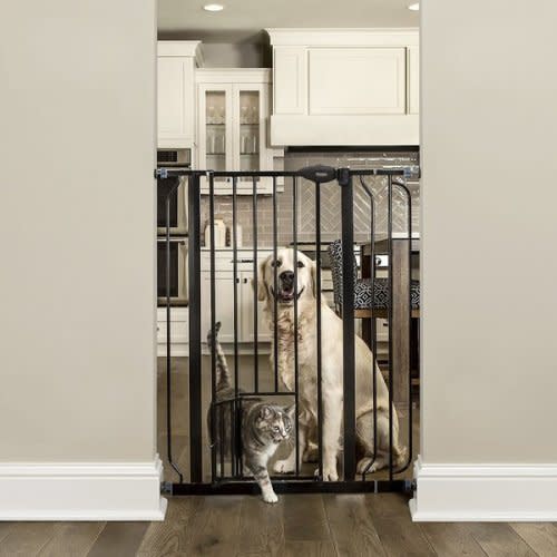 CARLSON PET PRODUCTS 36-in Extra Tall Dog Gate, Large, Black - Chewy.com