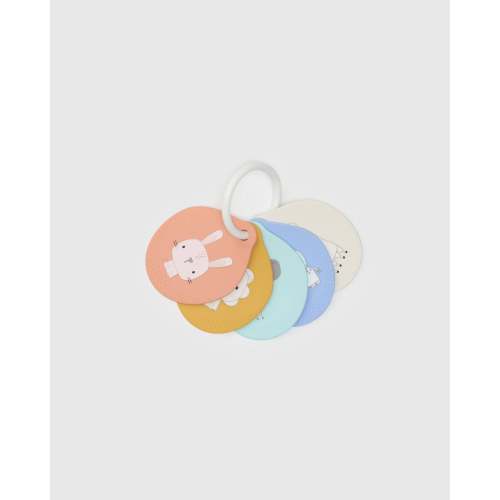 Flashcards - Nature