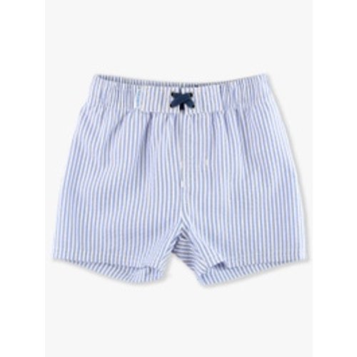 Seersucker Swim Trunks