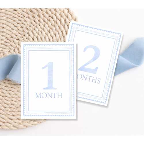 Baby Boy Milestone Card Set, Blue Monthly Milestones, Baby Shower Gift, Nursery Newborn Photo Props, Set of 13 cards