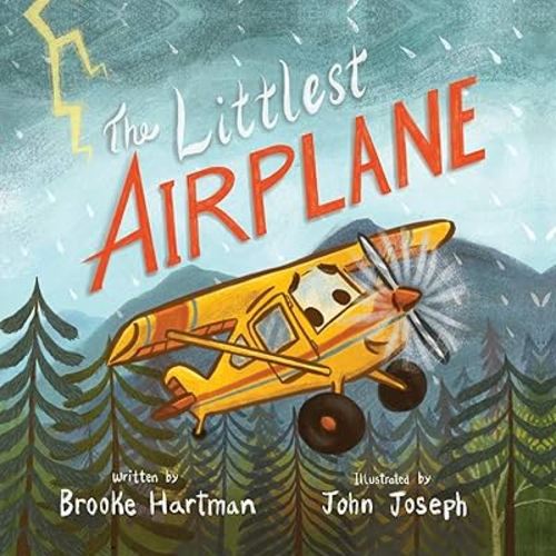 The Littlest Airplane
