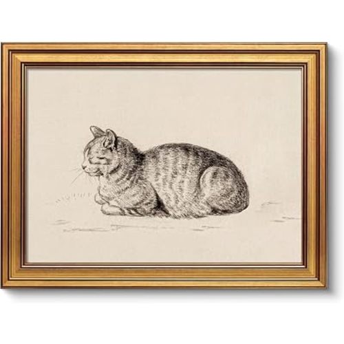 Rwesdemyo Sketch Cat Framed Wall Art Tabby Cat Wall Decor 9x11in