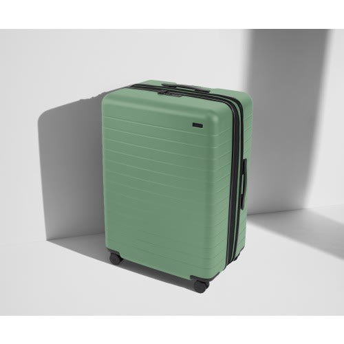 Away Luggage: The Large Flex in Sea Green