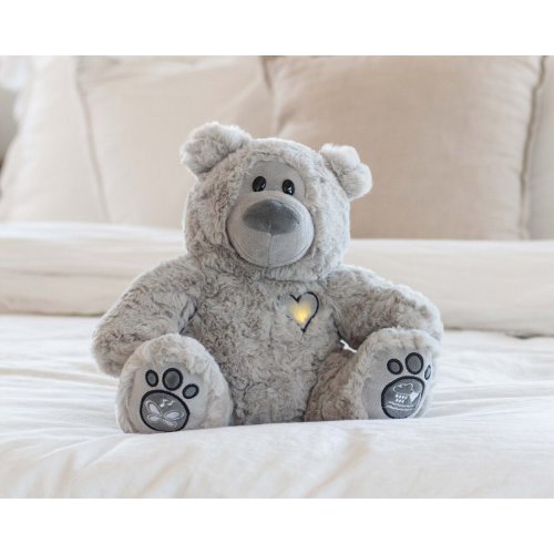 Musical Teddy Bear | Scripture Lullabies