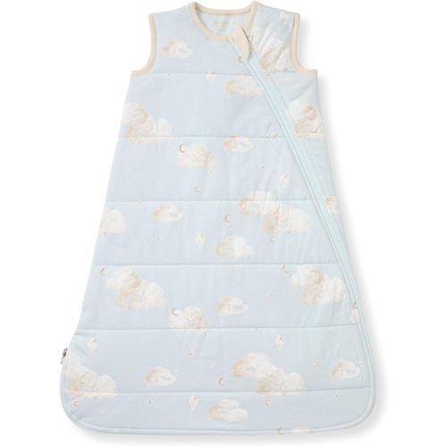 Burt's Bees Baby Beekeeper Infant Wearable Blanket, 100% Organic Cotton Unisex, Girl, Boy Swaddle Transition Sack
