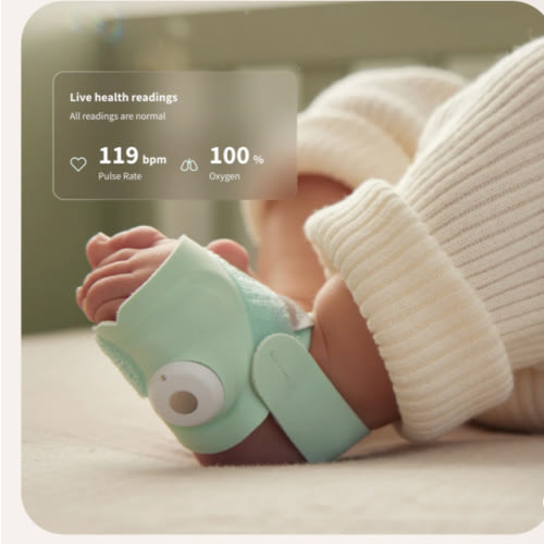 Dream Sock® – Owlet US