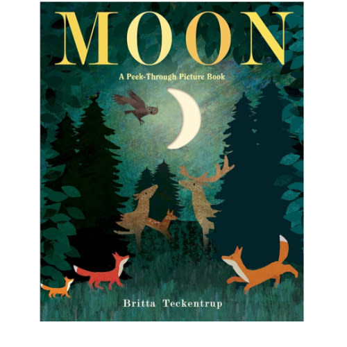 Moon: A Peek-Through Picture Book