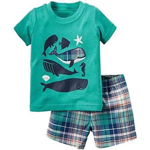 Toddler Boy Cotton Summer Short Sleeve T-Shirt and Short Set