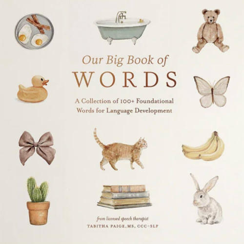 Our Big Book of First Words: A Collection of 100+ Foundational Words for Language Development (Our Little Adventures Series)