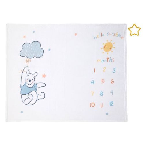 Disney Winnie The Pooh Super Soft Milestone Baby Blanket