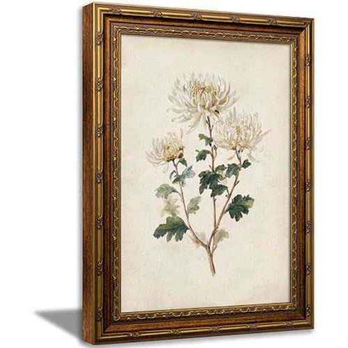 Vintage Gold Framed Novembe Birth Flower Wall Art Vintage Chrysanthemum Flower Canvas Print White Picture Wall Decor Chrysanthemum Botanical Poster Artwork for Living Room Bedroom Granddaughter Birthday Gift 9x11in